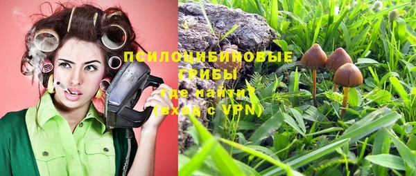 Альфа ПВП Алзамай