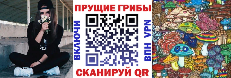Псилоцибиновые грибы Magic Shrooms  Малаховка 