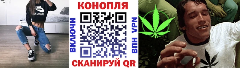 наркотики  Малаховка  Бошки Шишки ГИДРОПОН 